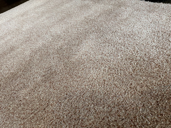 Image 1 of Alfombra Brink y Campman Sprout