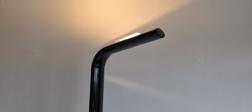 Magnificent ''Orchidéa'' Design Floor Lamp by Gianfranco Frattini for Relco