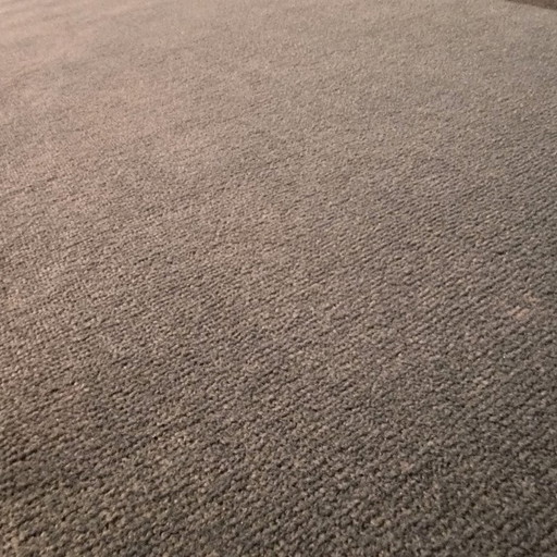 Nouwens Bogaers Scala rug - 250x400