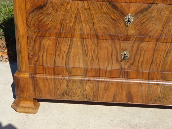 Image 1 of Commode Louis Philippe en noyer et ronce de noyer