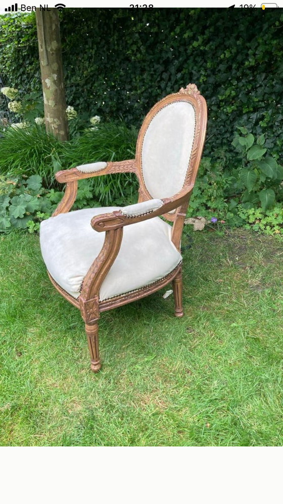 Image 1 of Silla Luis XVI, tapizada en terciopelo color crema.