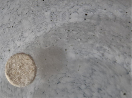 Image 1 of Ingegerd Råman (Skruf) - Bowl / Vaas Met Roos - Gesigneerd