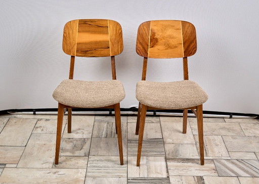 Set di due sedie Bilea vintage, anni '70, Romania