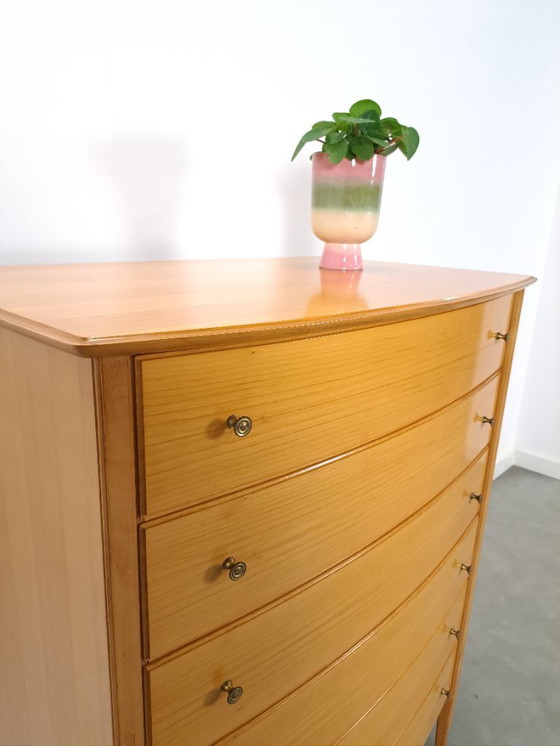 Image 1 of Cassettiera alta curva di metà secolo con 6 cassetti