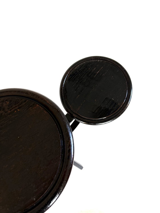 Image 1 of Vintage plantentafel ‘50