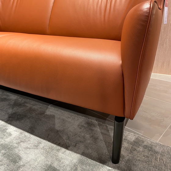 Image 1 of Évidence Santosa 2,5-zitsbank