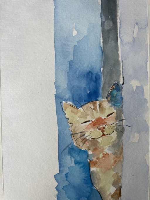 Acquerello Gattino