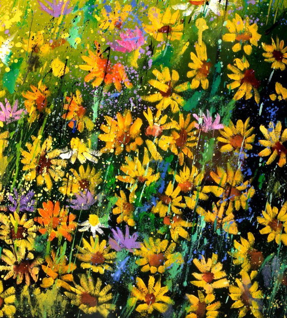 Image 1 of daisies in summer