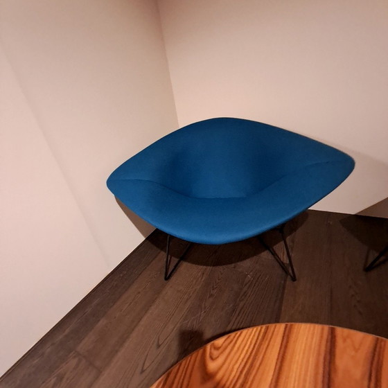 Image 1 of Poltrona relax Knoll Bertoia