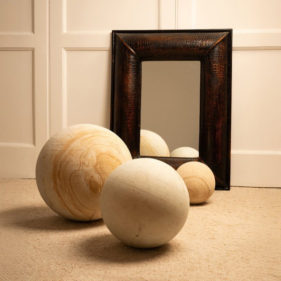 Image 1 of Python mirror 