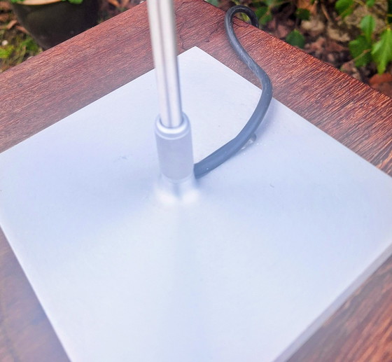 Image 1 of Lucuplan Costanza: Designer Paola Rizzato