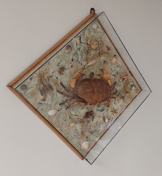Image 1 of Mounted crab in display case