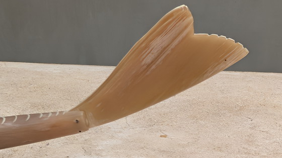 Image 1 of Grote vis creatie in buffelhoorn.