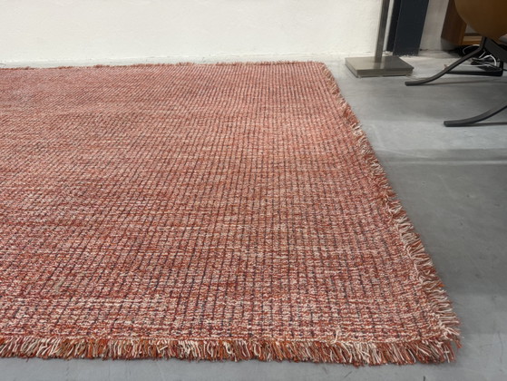 CSrugs Tweet Tappeto Rosso 220x320, CS Rugs, Tappeti, Altro, Multicolore (foto 9 di 13)