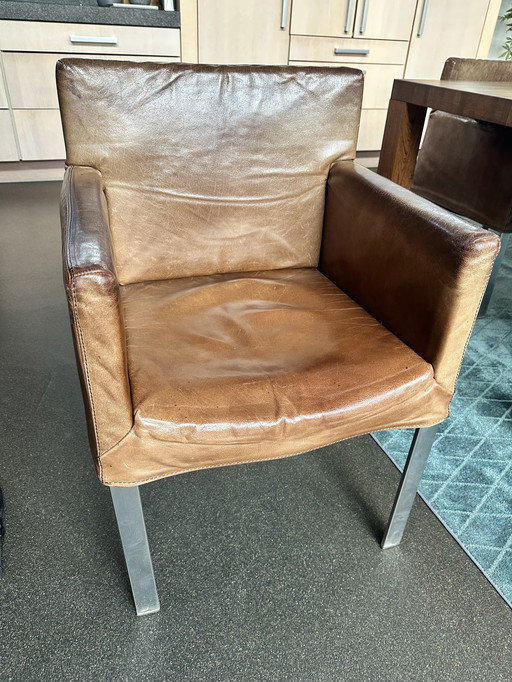 6 sedie di design Fellini marca Label