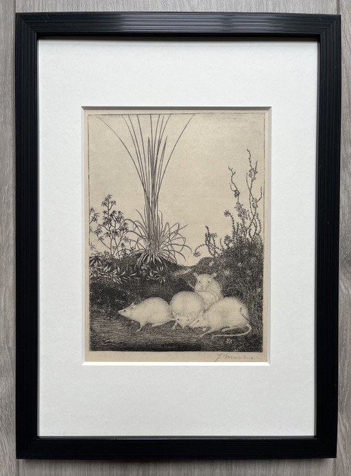 Jan Mankes 1889-1923 / Original Heliogravüre 4 Mäuse 1923 (wunderschön gerahmt)