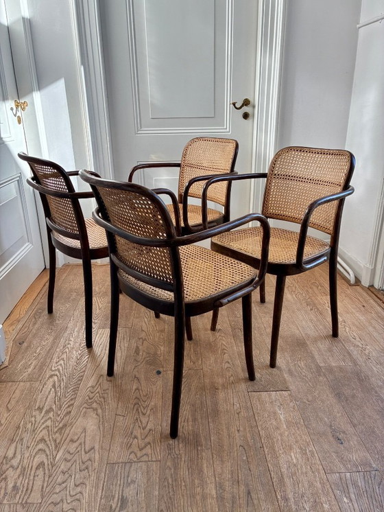 Image 1 of 4x Sessel „Prag“, Entwurf Thonet Nr. 811 von Josef Hoffmann