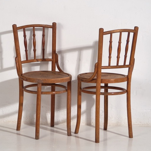 Sillas Thonet antiguas con asiento grabado (c.1920). Juego de dos piezas #1