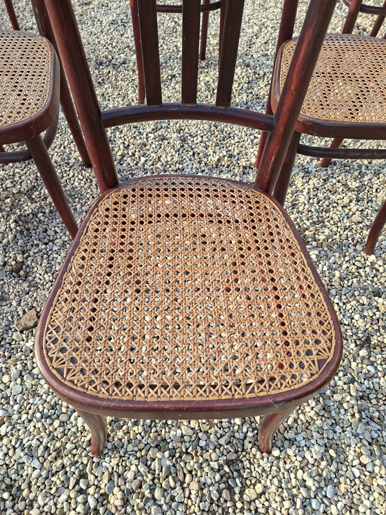 Image 1 of Set di 6 sedie vintage di design Thonet