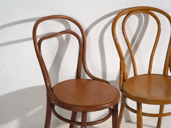 Sedie Thonet antiche (anni '20). Set di 2 pezzi #6 – Sedie da pranzo (photo 12 of 40)