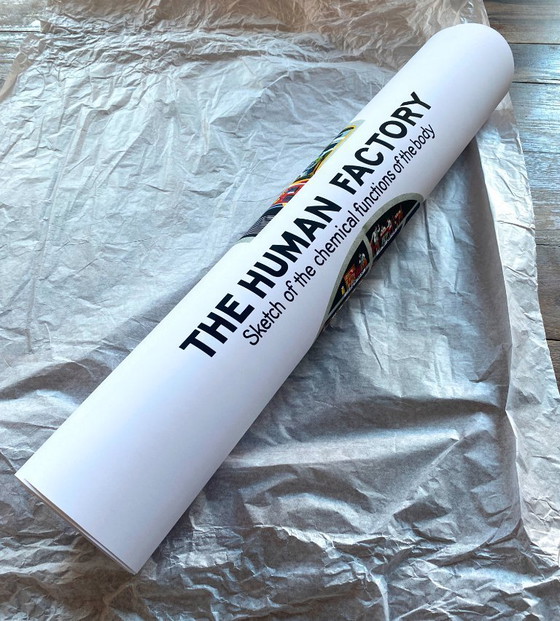 Image 1 of The human factory - Sketch of the body's functions - 1931 - Poster 61 x 91 cm