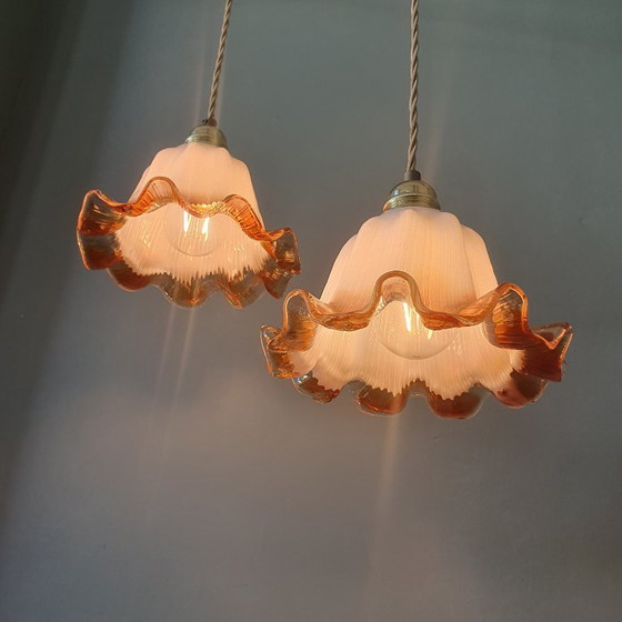 Set of Vintage Glass Pendant Lights. Floral / Flower-shaped Glass – Pendant lamps, Metal (photo 21 of 24)