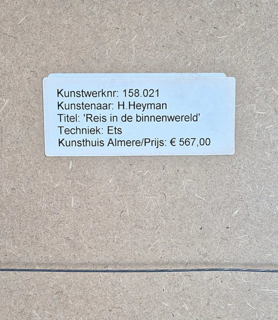 Image 1 of Hans Heijman Limited Edition no. 158/021 “Journey into the Inner World” - singed