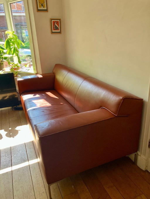 Cognacfarbenes Ledersofa Bloq Design auf Lager