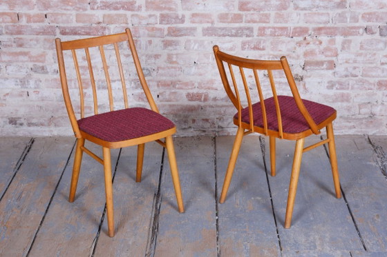 Set of Four Original Mid-Century Chairs, by Antonín Šuman, Beech, Czech, 1960s – Dining chairs, Textile (photo 10 of 10)