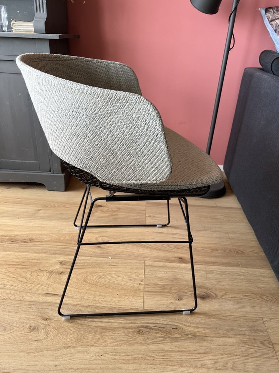 Bertoia side chair voor Knoll – Kuipstoelen, Metal, Textile (photo 5 of 6)