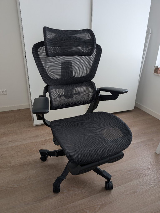 Hinomi H1 Pro Ergonomic Office Chair – bureaustoelen, Metal, Plastic (photo 2 of 6)