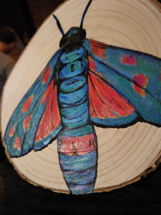 Image 1 of Disco de madera de tronco de árbol con mariposa de colores pintada