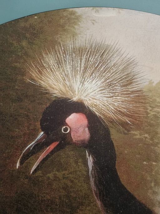 Wall Masters Round 150 velluto