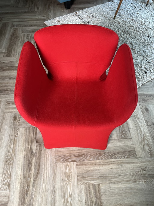 Moroso Bloomy