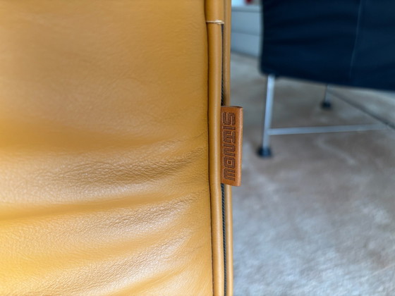 Fauteuils blauw en Saffraan – Montis, Leer, Chroom (photo 5 of 5)