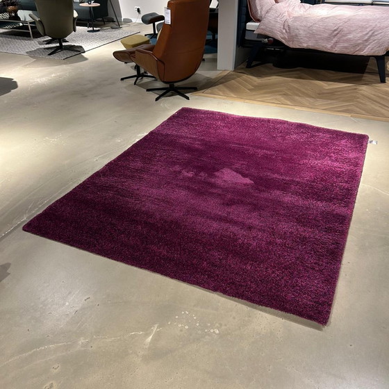 Image 1 of Millenerpoort Bella Basso 25 vloerkleed - 200x250