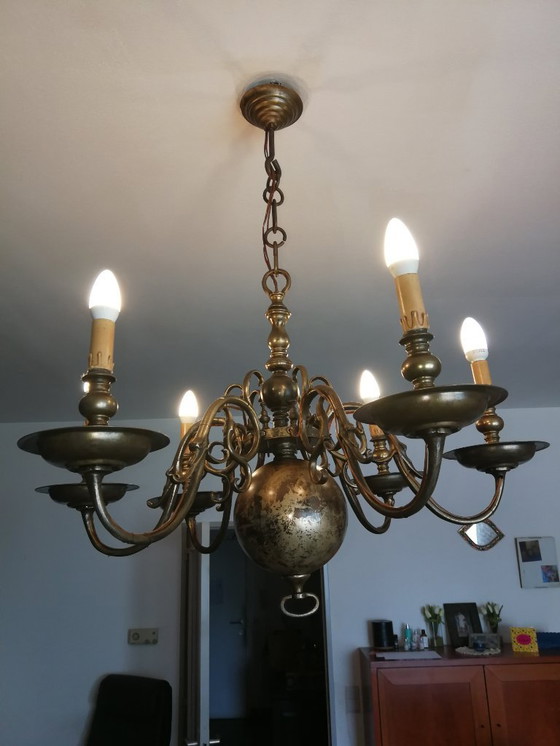 Image 1 of lucentezza da clone fiammingo