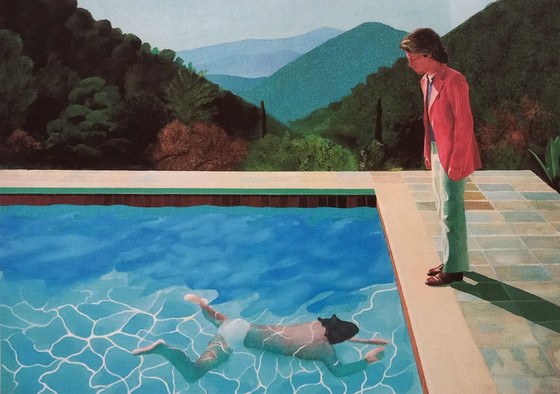 D. Hockney – Lithographie « Portrait d’un artiste » – Encadrée – Lithographies et sérigraphies, Paper (photo 3 of 5)