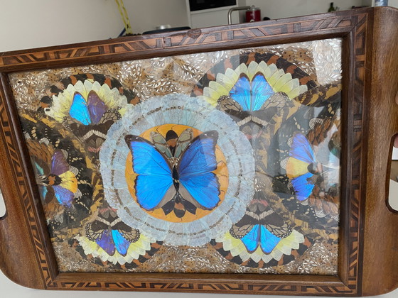 Image 1 of Plateau papillon