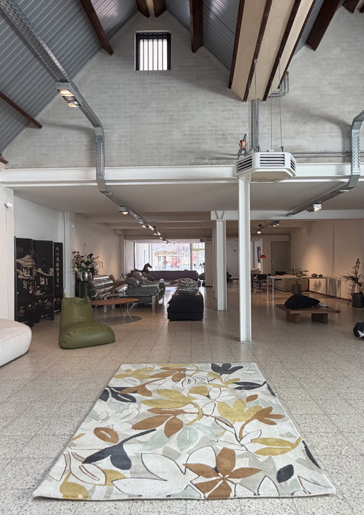 Tappeto Brink e Campman Scion Baja 