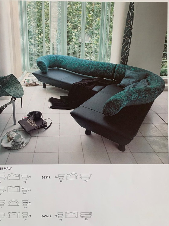 Image 1 of Design Boa Sofa Designed by Peter Maly for Gelderland