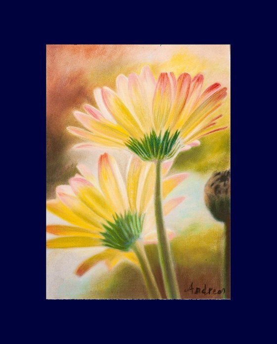 Image 1 of Pastel daisies. Daisy painting. Flower drawing. Pastel flowers. Painted flowers. New.