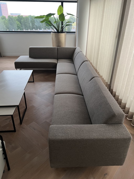Artifort Mare Sofa
