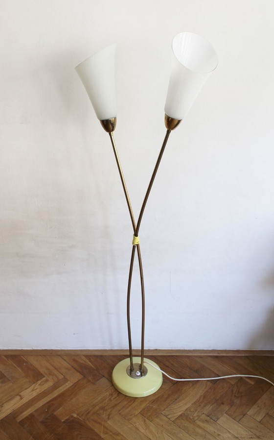 Image 1 of Organic Mid-Century Modern Floor Lamp in Brass and Milk Glass, Czechoslovakia