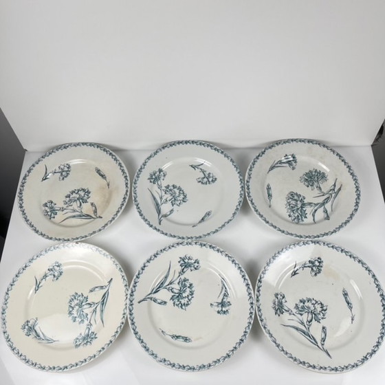Image 1 of Set of 6 "Carnation" pattern dinner plates, KG Lunéville, ironstone, 19th century