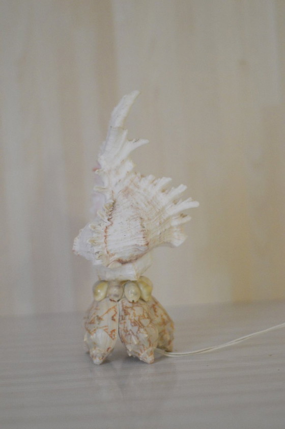 Image 1 of Shell lamp