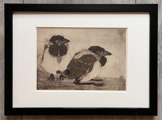 Image 1 of Jan Mankes 1889-1920 / Héliogravure originale 2 Jeunes Pies 1923