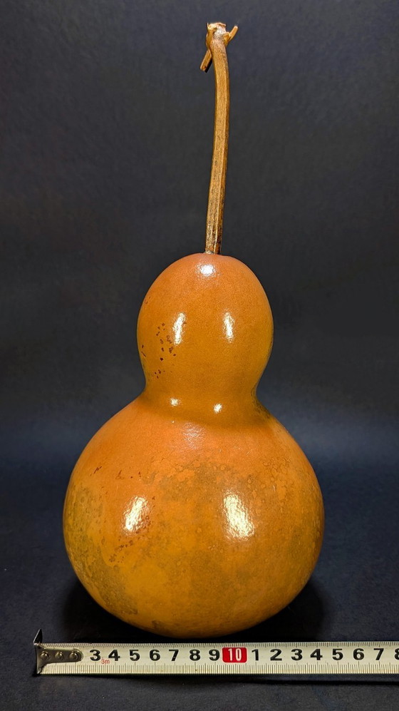 Große, antike, getrocknete Kalebasse – Dekorative Objekte, Wood, Other (photo 5 of 6)