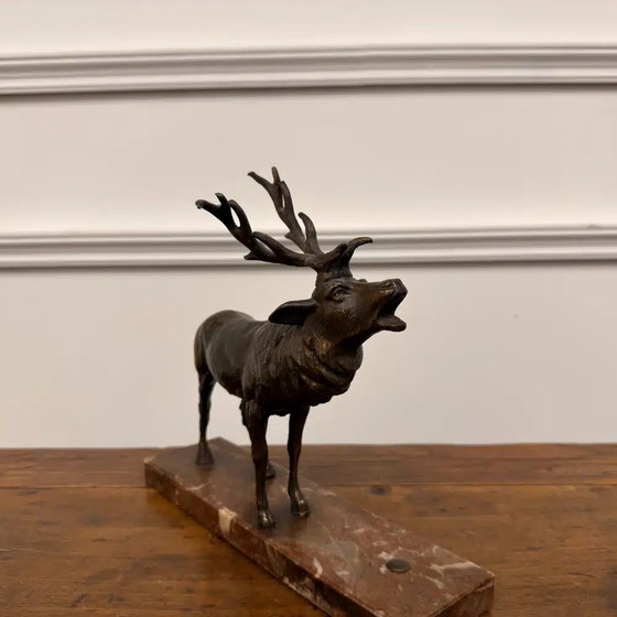 Buy Bronze Red Deer Sculpture? - Wide selection!, Chesterfield (photo 6 of 8)