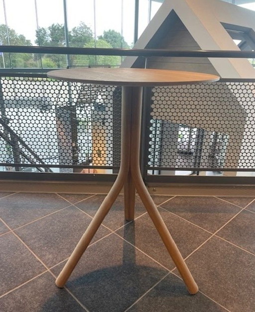 Mesa alta Rolf Benz 976 – tafels